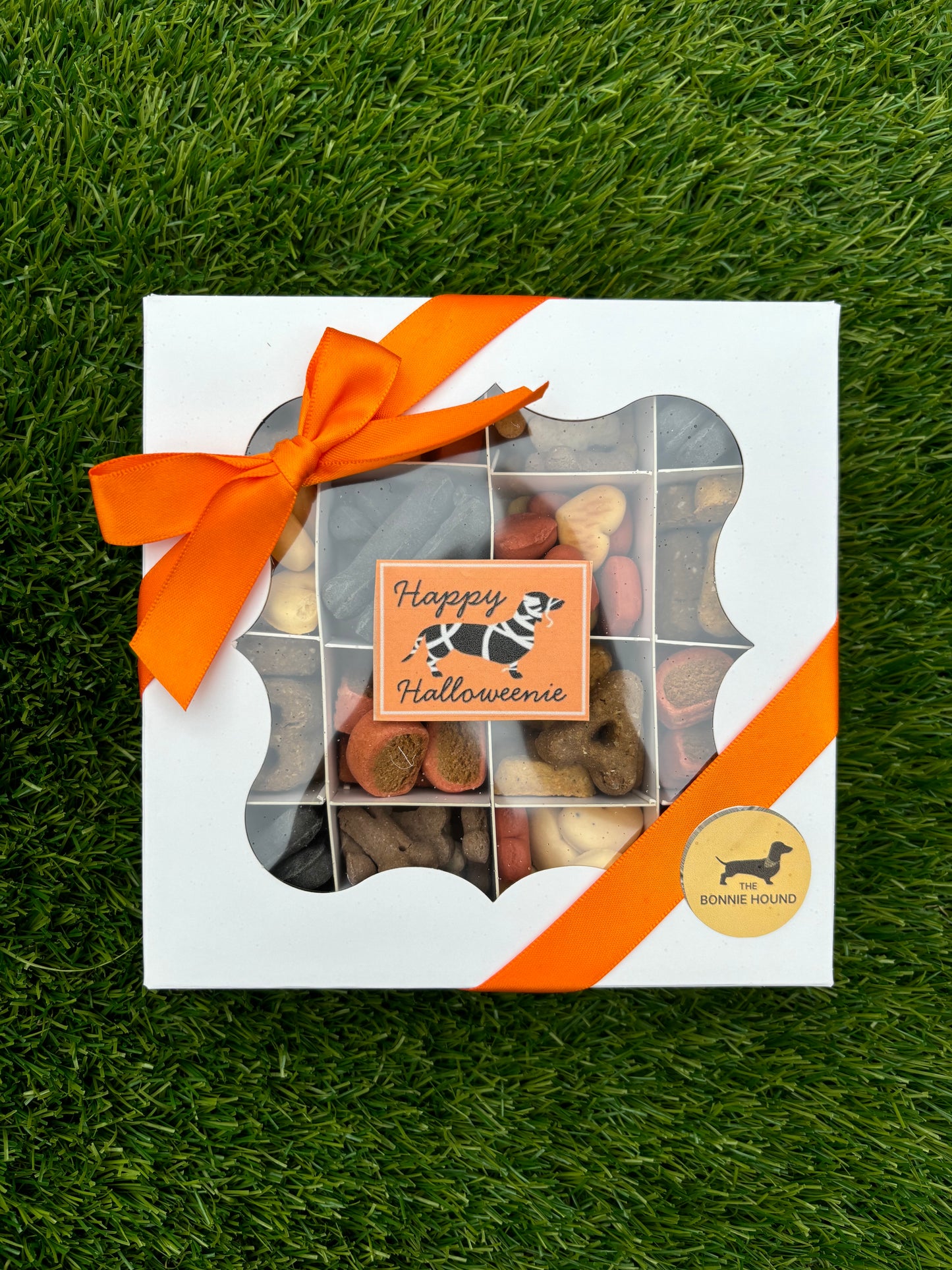 Halloween Dog Treat Box (Happy Halloweenie!)