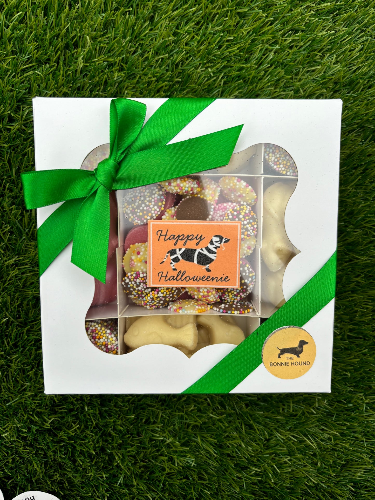 Halloween Dog Treat Box (Happy Halloweenie!)