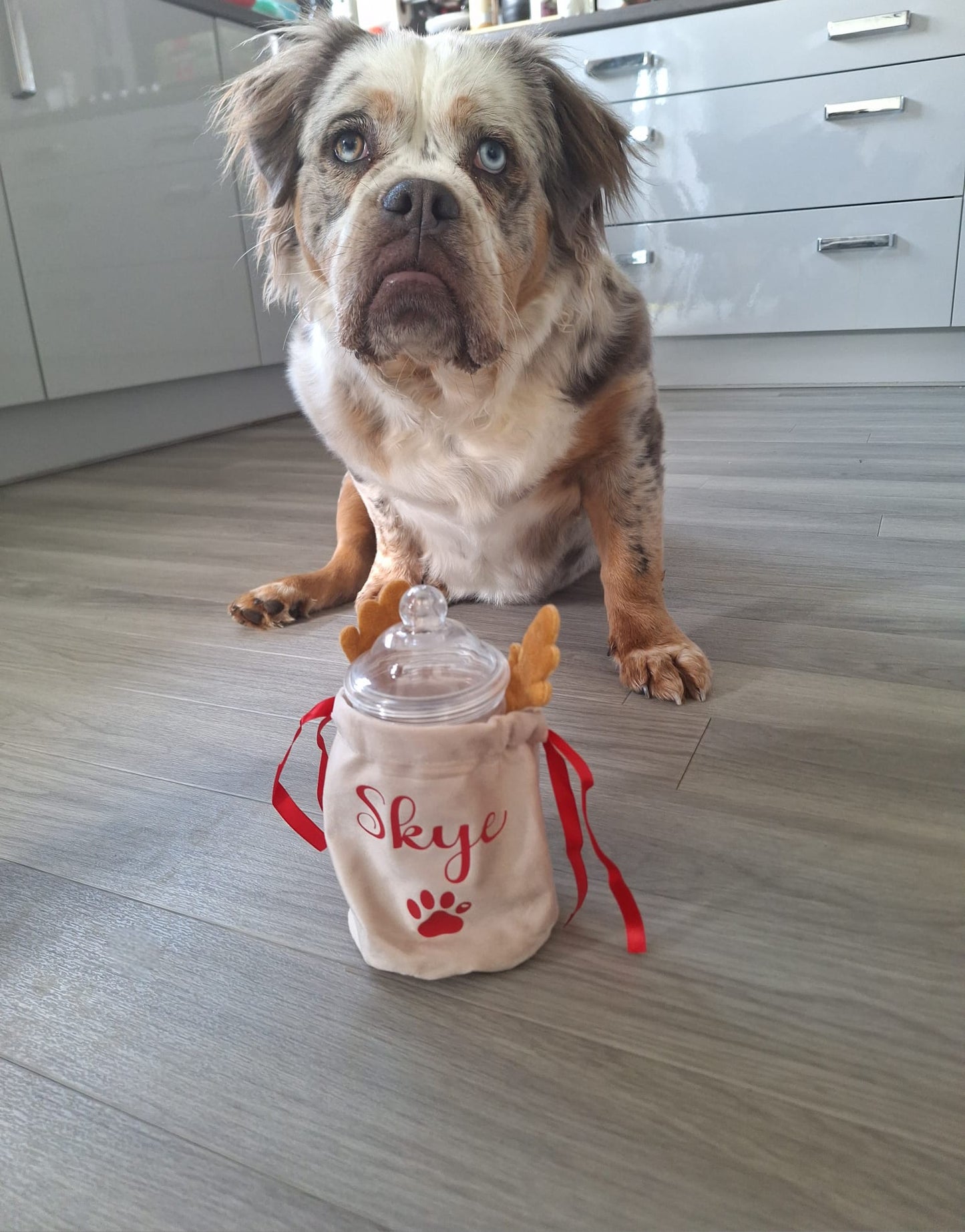 Personalised Christmas Reindeer Drawstring Bag | Perfect For Pets, Kids, Businesses