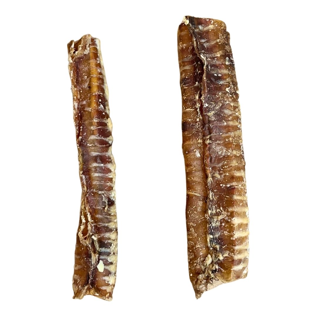 Beef Trachea 12cm Natural Dog Treat