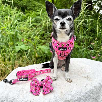 Signature Pink Chihuahua Print Exclusive Small Sailor Bow by My Chi and Me