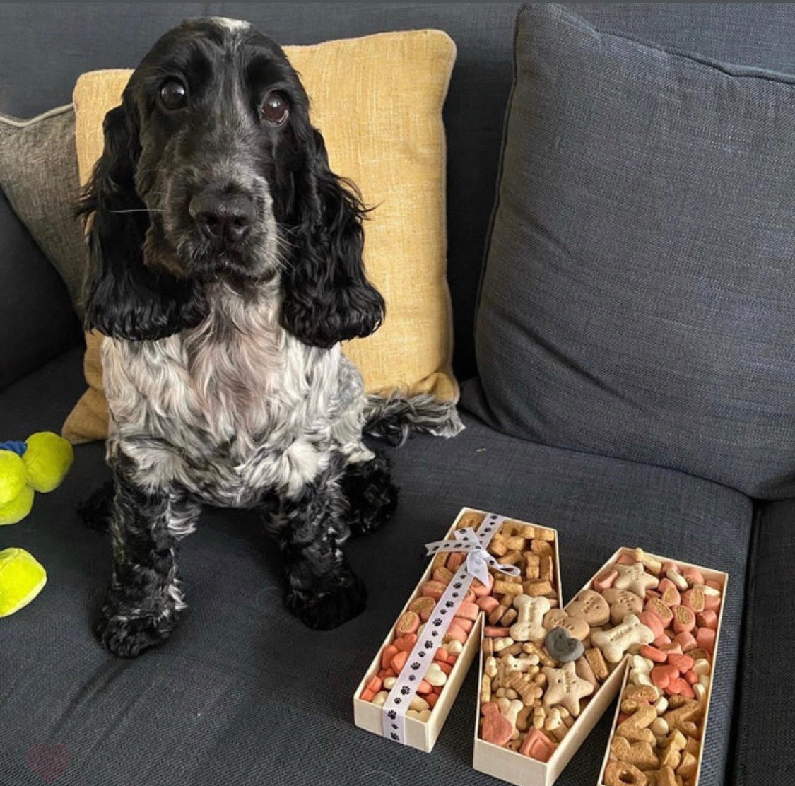 Treat Filled Initial Box - Biscuits