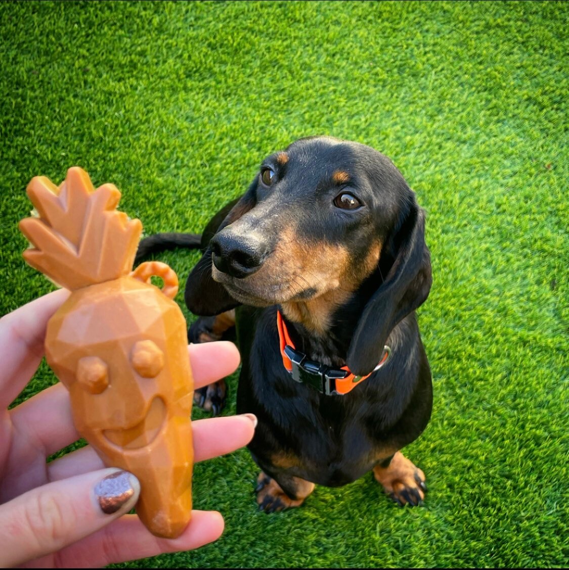 Rosewood Carrot and Broccoli Dog Chew Treats