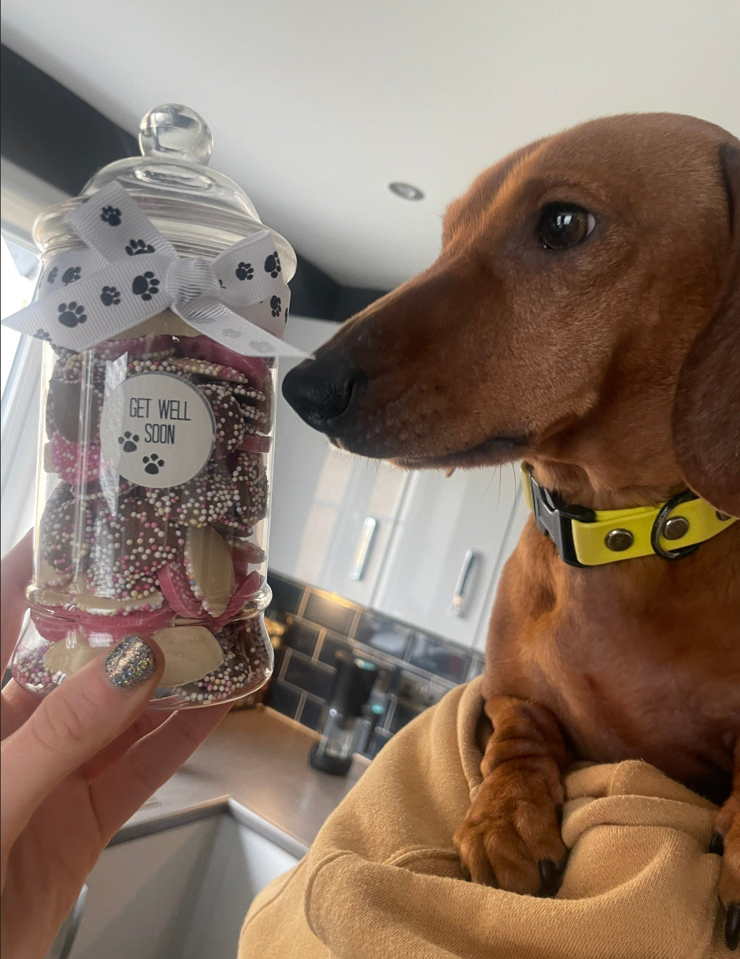 Dog Treat Pick N Mix Victorian Jar