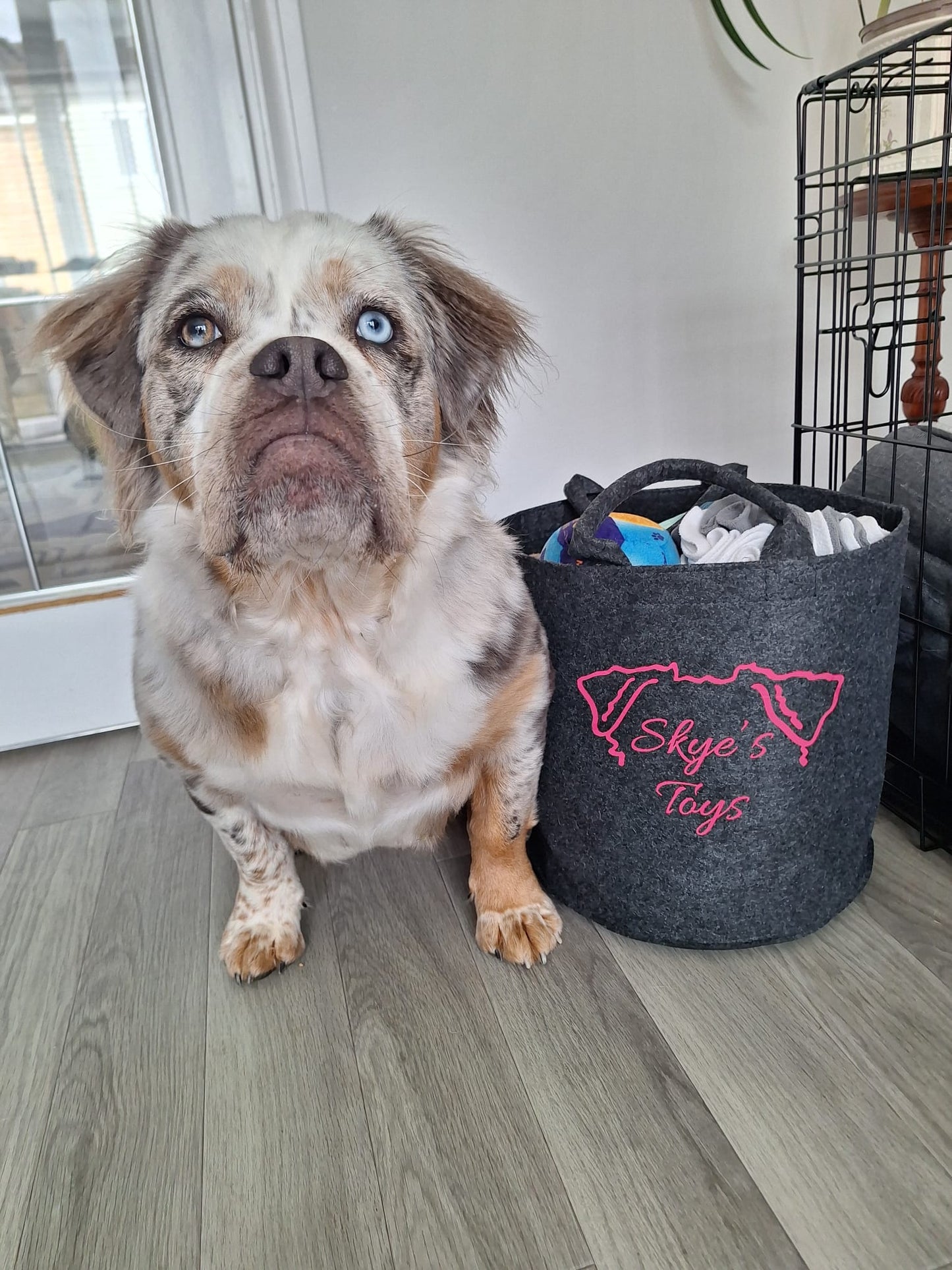 Personalised Pet Toy Bag | Personalised Pet Gifts