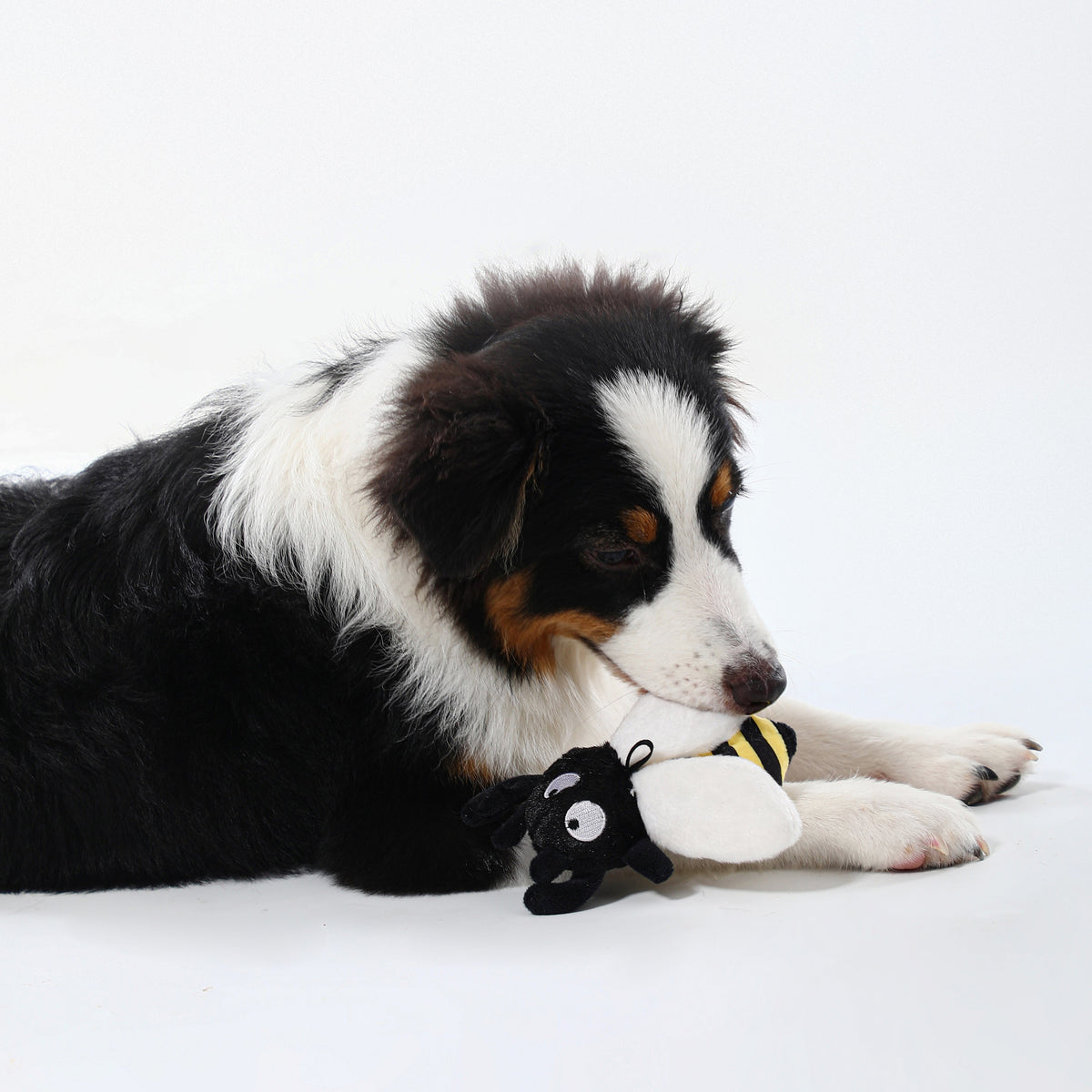 Honey Bee Squeaky Dog Toy – Interactive Play