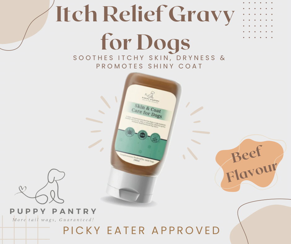Itch Relief Gravy – 290ml
Soothes itchy skin, reduces dryness, promotes a shiny coat