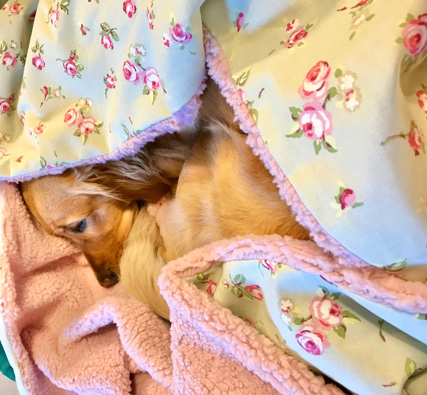 Luxury Handcrafted Dog Blanket - Dolly Collection Floral