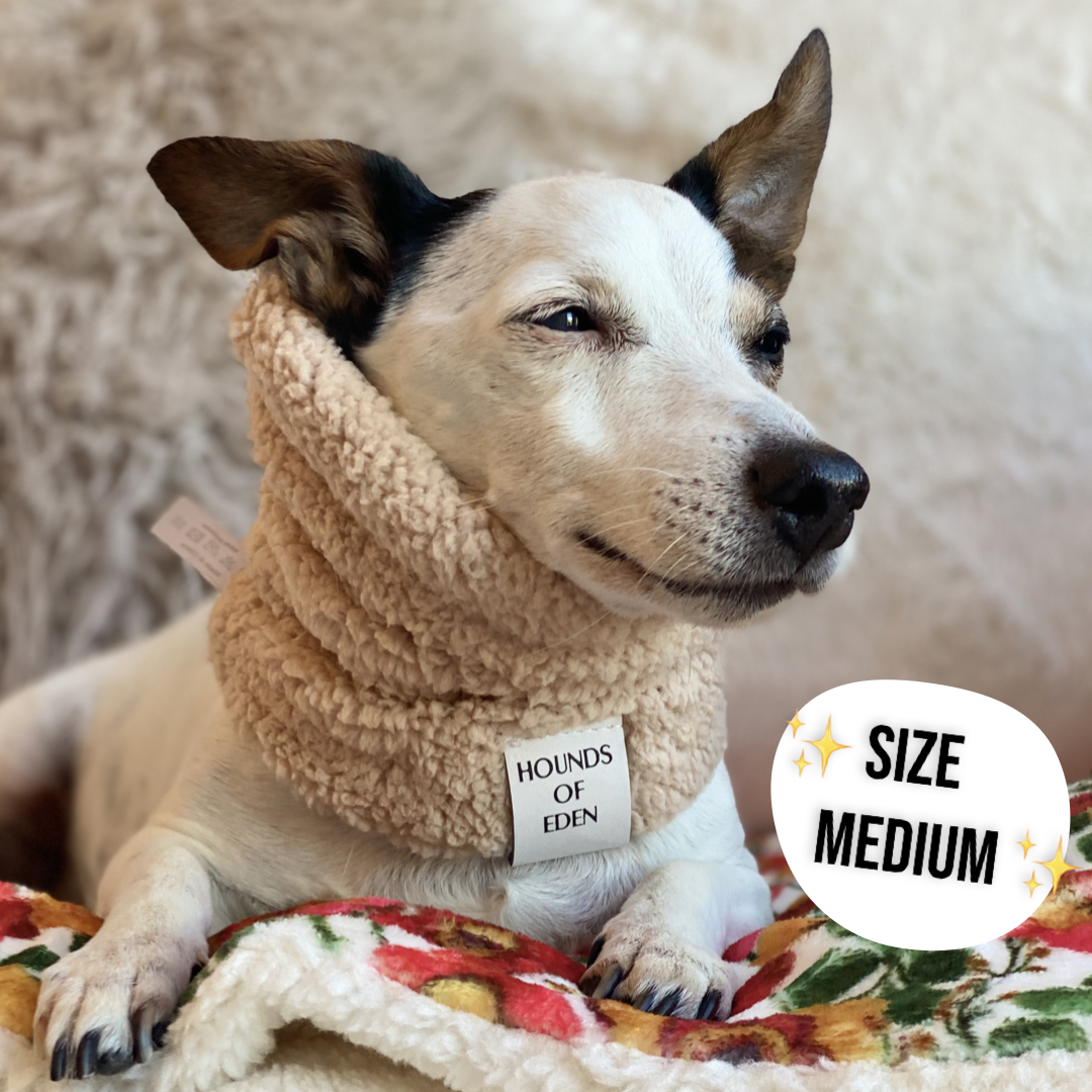 Blushing Leopard Dog Snood