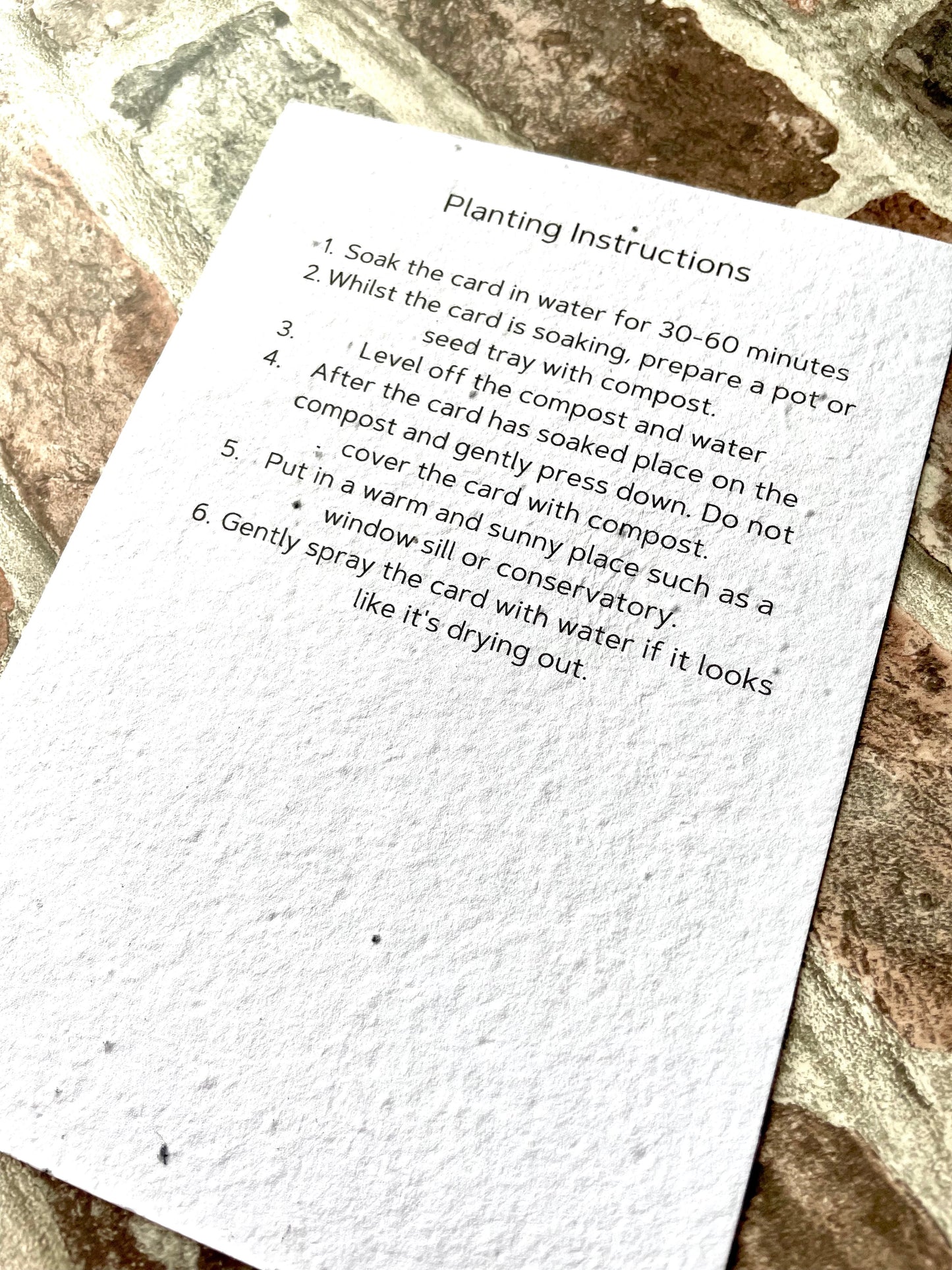 Over the Rainbow Bridge Plantable Keepsake card and Bracelet