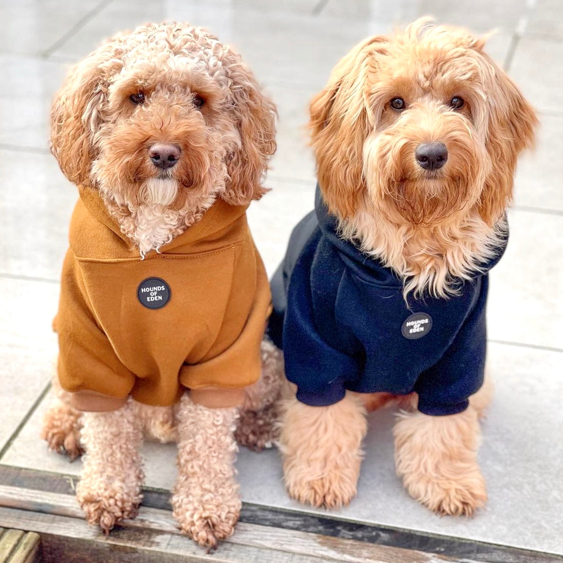 Dog Hoodie - Brown