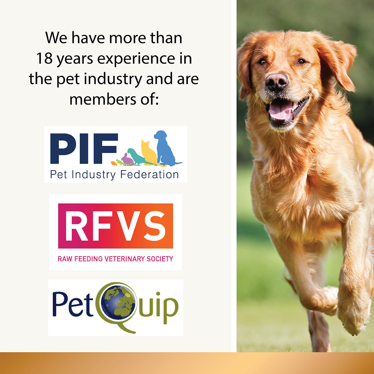 Pumpkin Powder - 200g