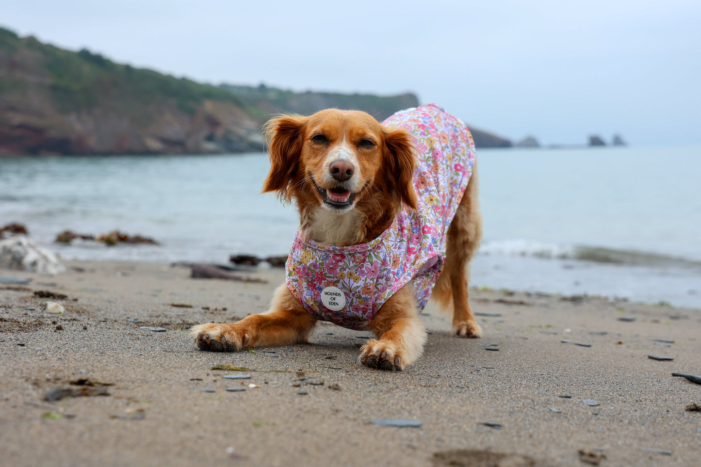 Pastal Petals Dog Cooling Vest