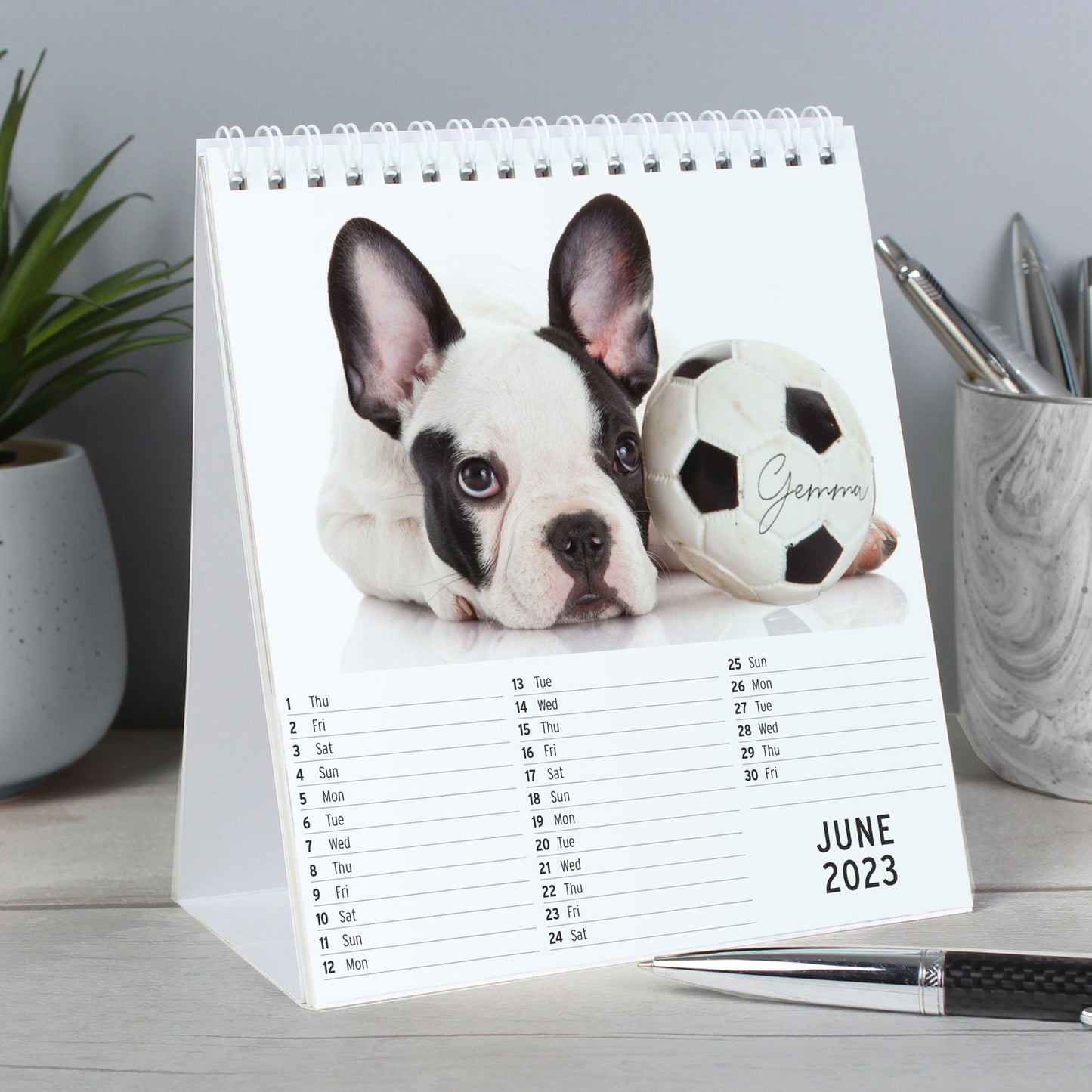 Personalised 2026 Barking Mad Dog Desk Calendar