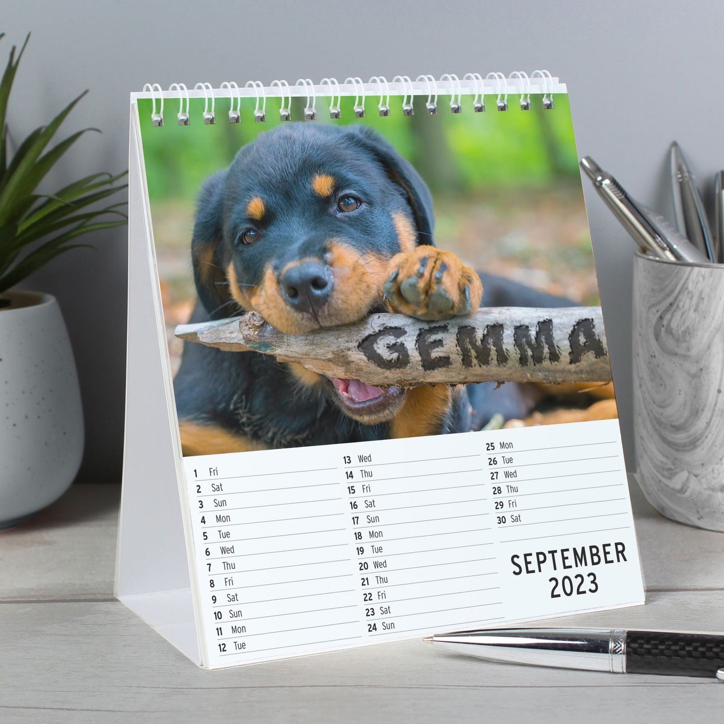 Personalised 2026 Barking Mad Dog Desk Calendar