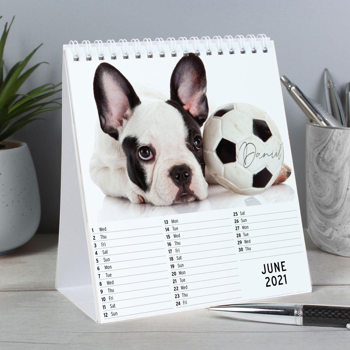 Personalised 2026 Barking Mad Dog Desk Calendar