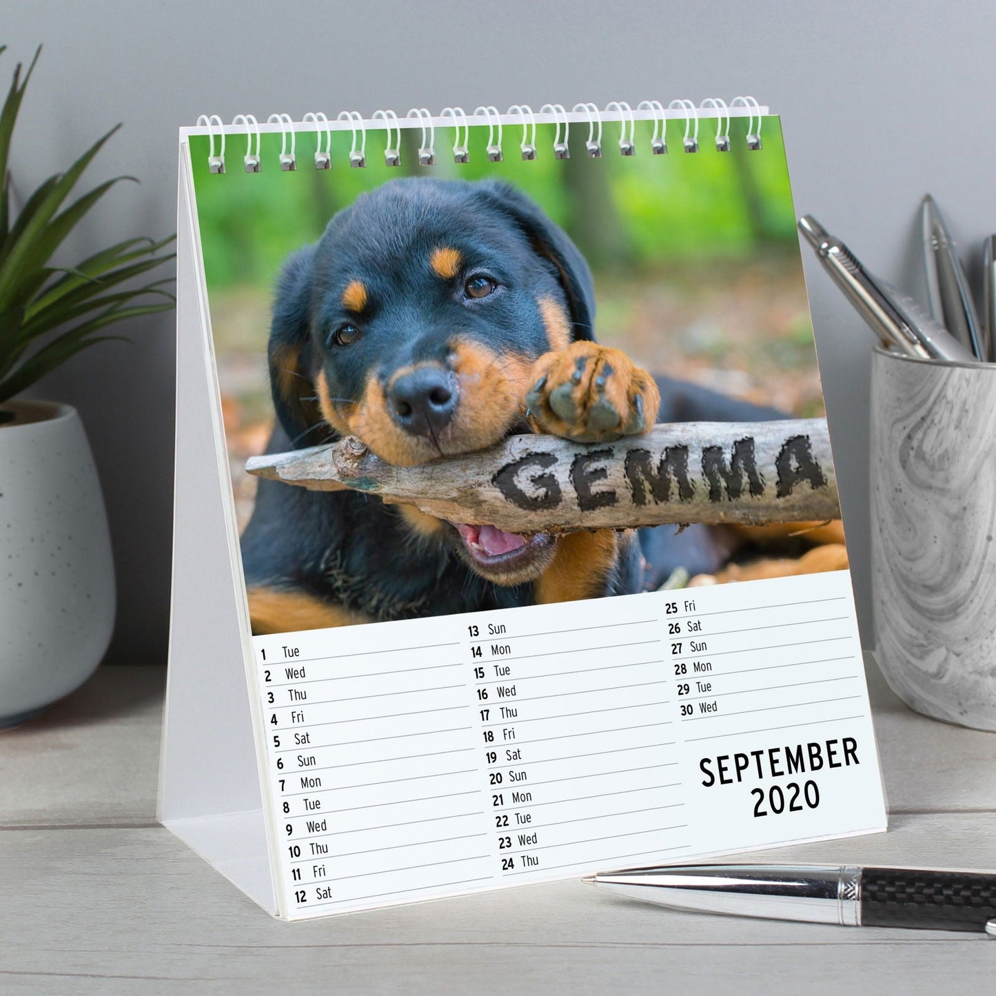 Personalised 2026 Barking Mad Dog Desk Calendar
