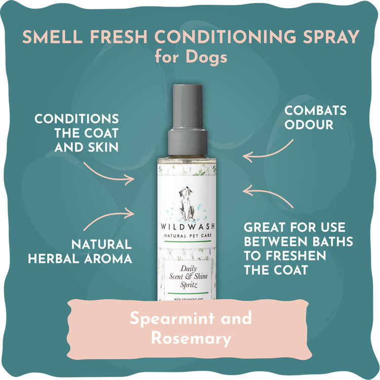 Smell Fresh Spearmint & Rosemary Spray