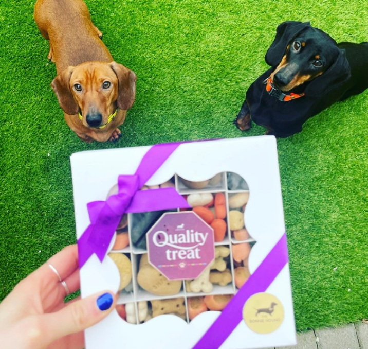 Quality Treat Box