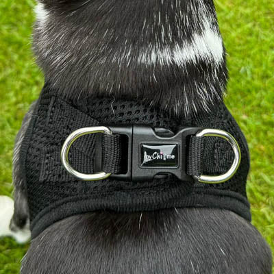 Tiny Trails Step In Air Mesh Puppy and Small Dog Harness Black