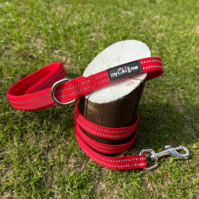 Tiny Trails Reflective 15mm Webbing Lead with Neoprene Handle Lining Red