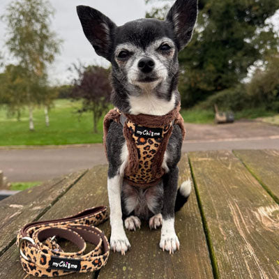 Tiny Trails Step In Luxury Leopard Puppy and Small Dog Harness