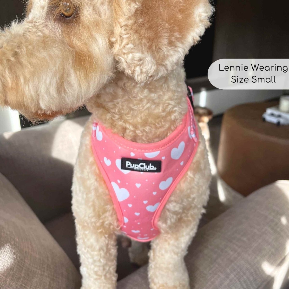 Adjustable Harness - Peachy Hearts