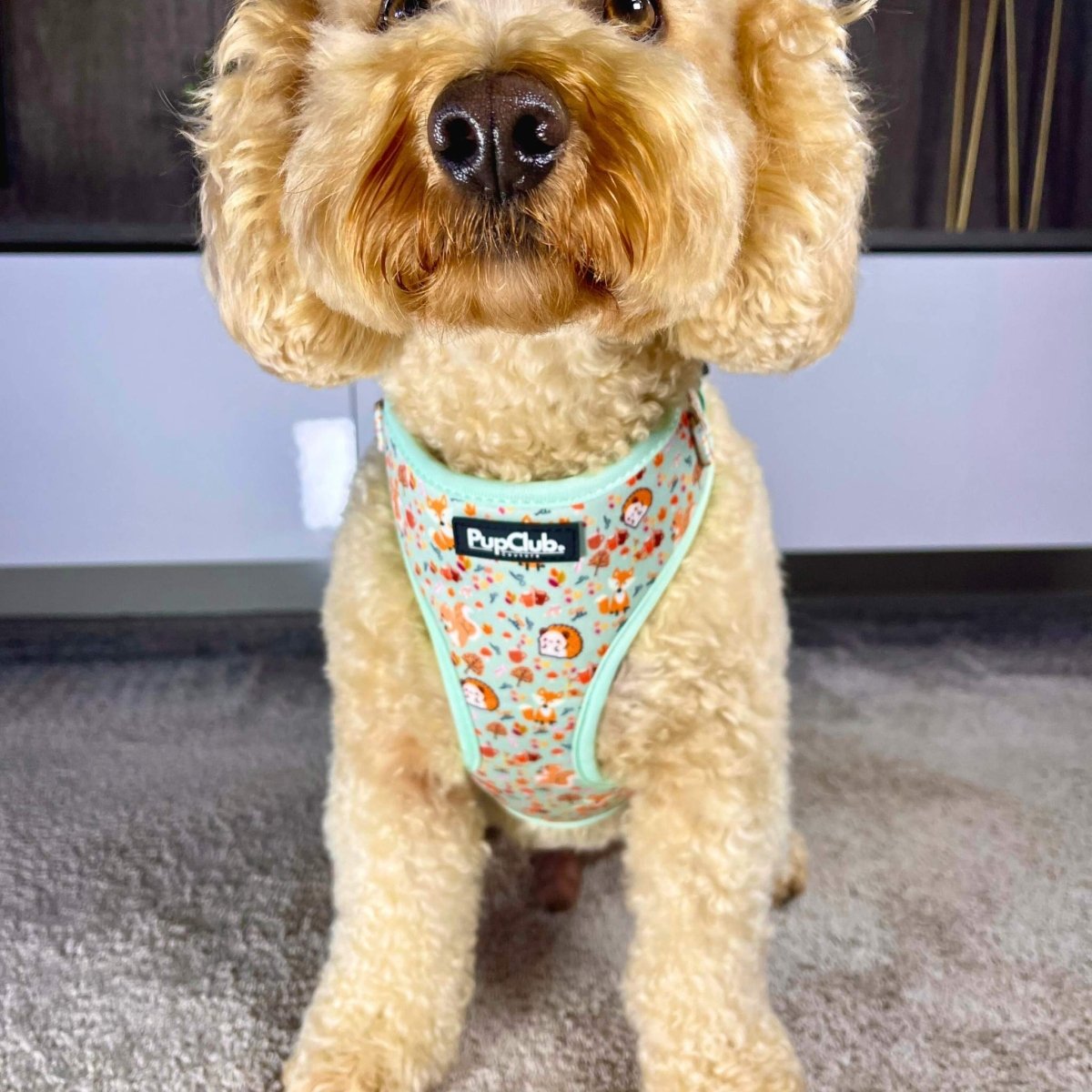 Adjustable Harness - Woodland Friends