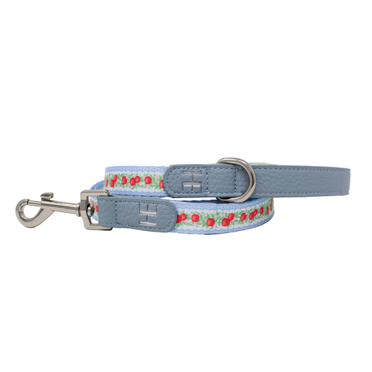 Eden's Orchard - Leather Dog Lead