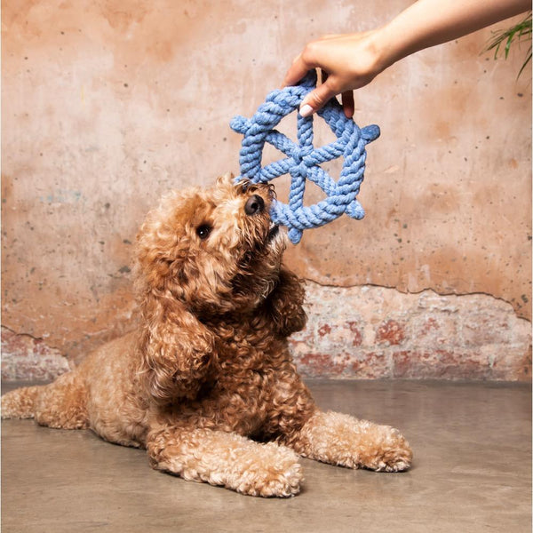 Captain's Wheel Rope Toy