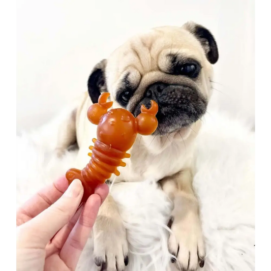 Carrot & Pumpkin Lobster Chew For Dogs