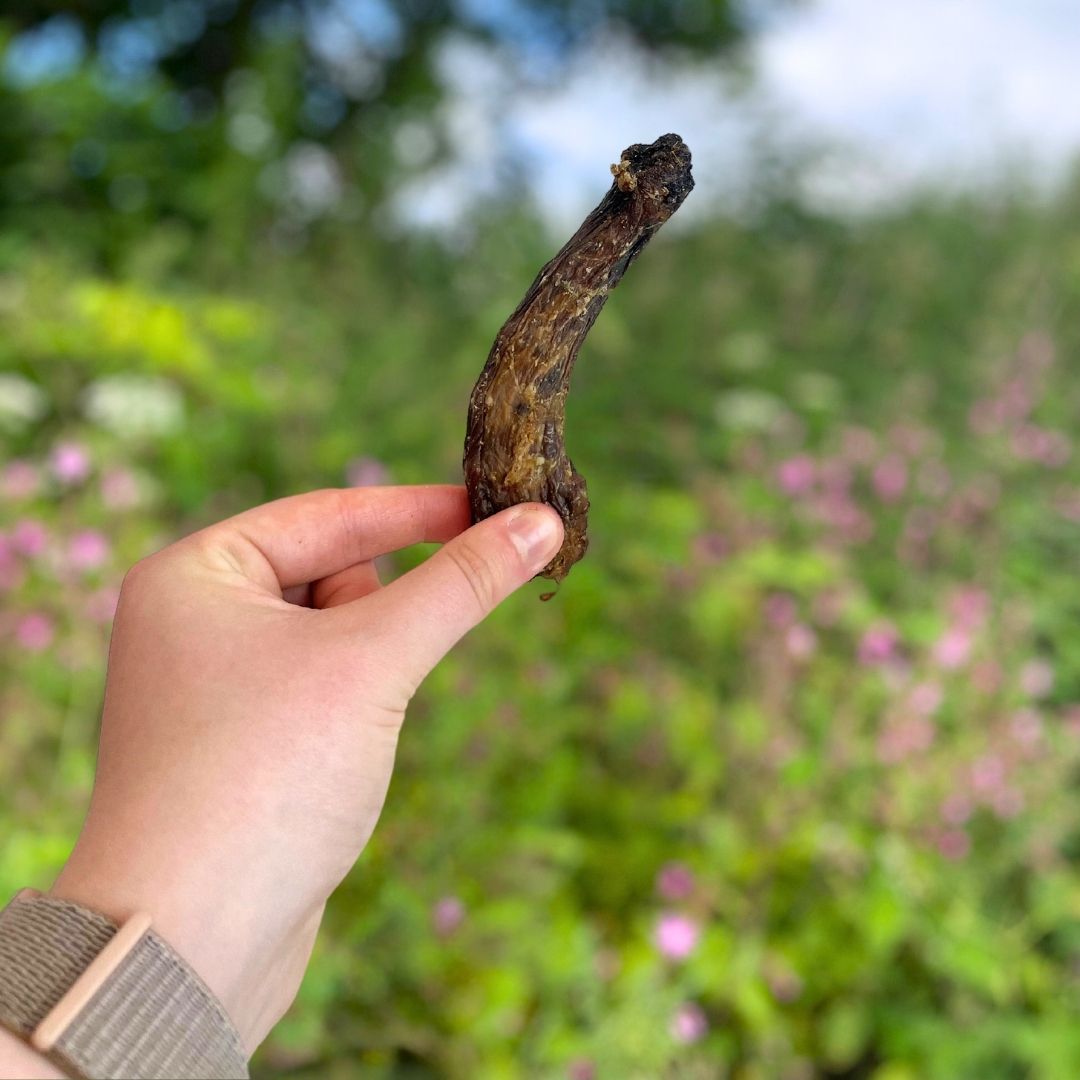 Chicken Necks Natural Dog Treat