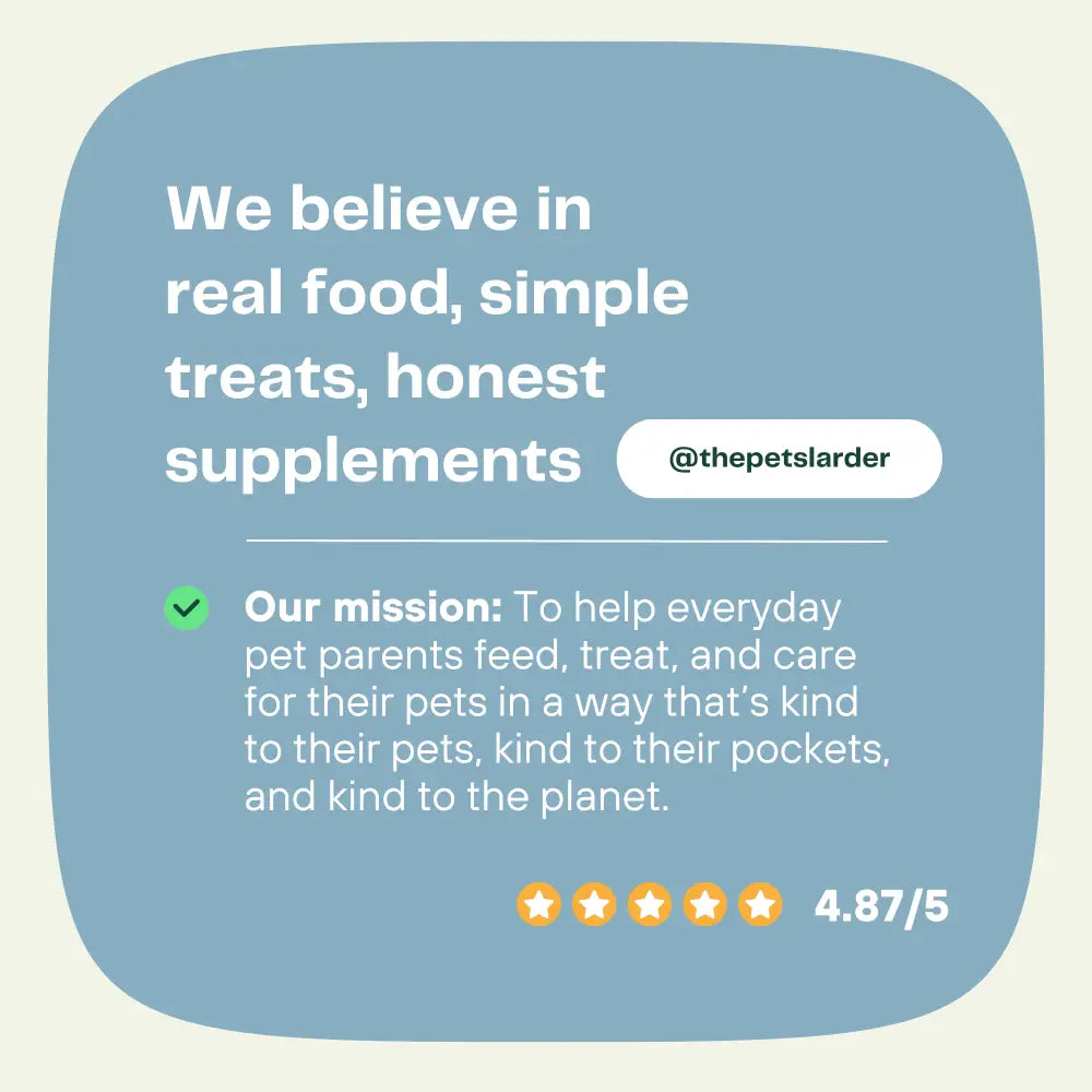 Chicken Neck Natural Meat Chew For Dogs