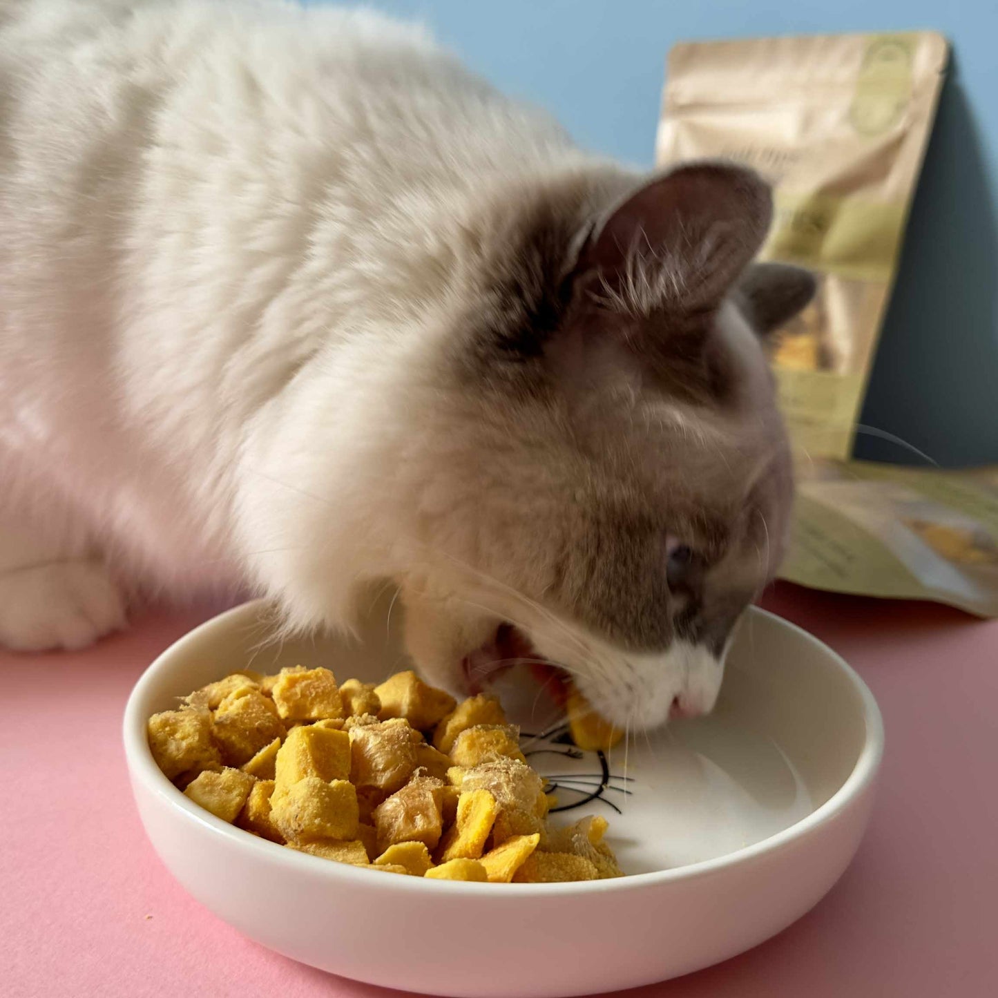 Yolky Bites - 100% Freeze-Dried Egg Yolk Treats | Pure Protein | Tail Tips UK