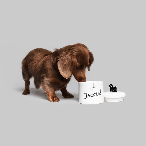 Dog Treats Jar