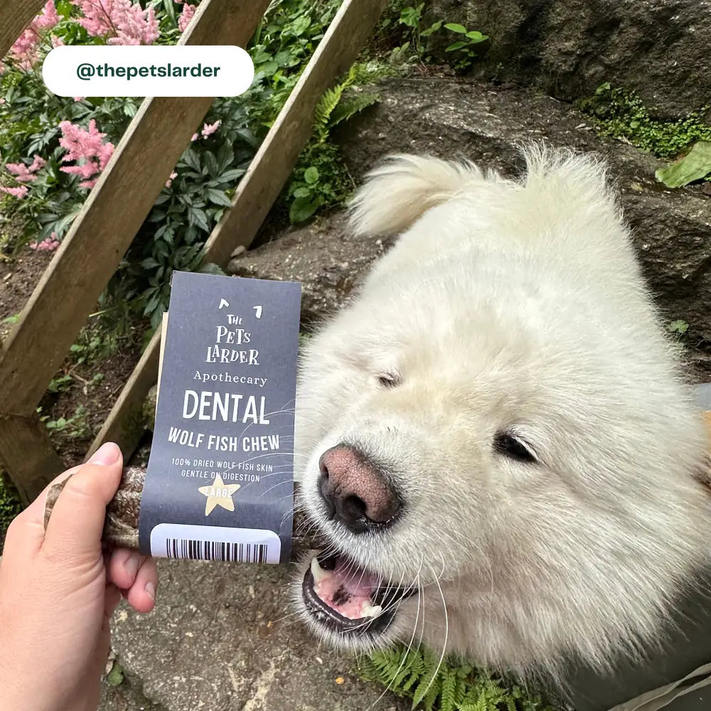 Fish Stick Chew For Dogs