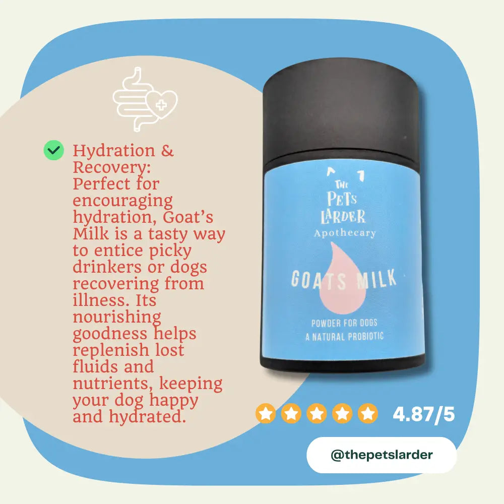 Goats Milk Powder for Dogs A Natural Probiotic