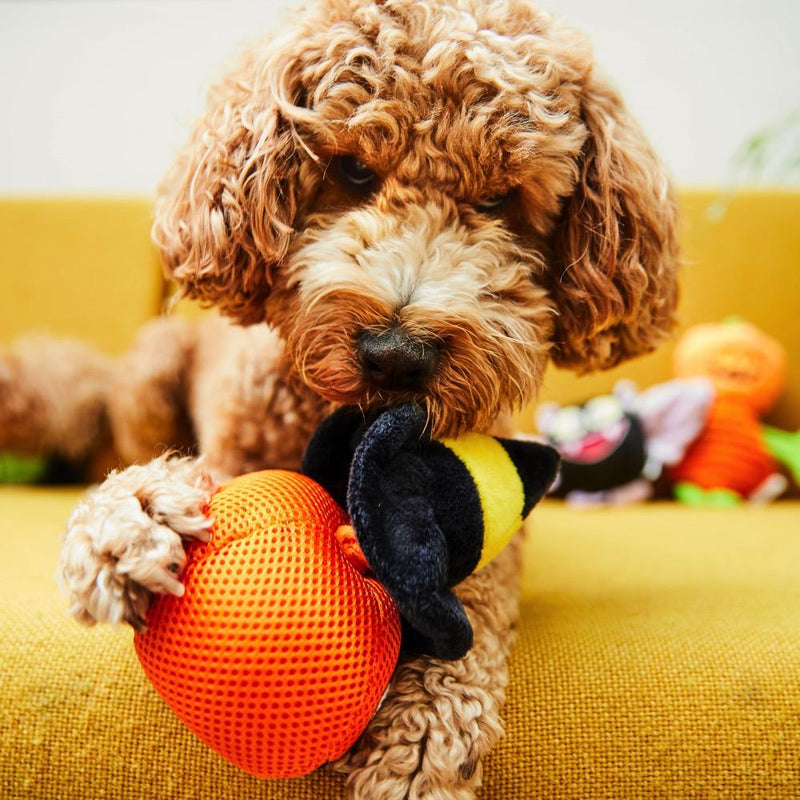 The Halloween Pumpkin Head Dog Toy