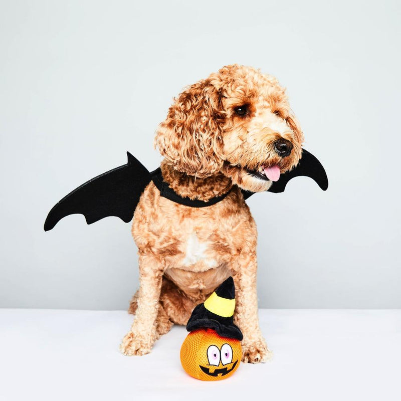 The Halloween Pumpkin Head Dog Toy
