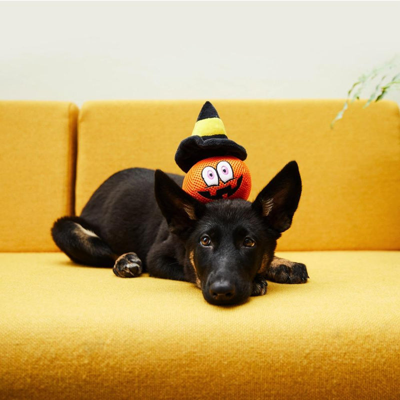 The Halloween Pumpkin Head Dog Toy
