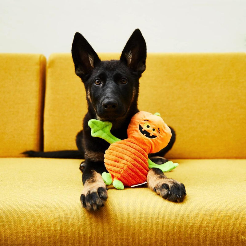 The Halloween Pumpkin