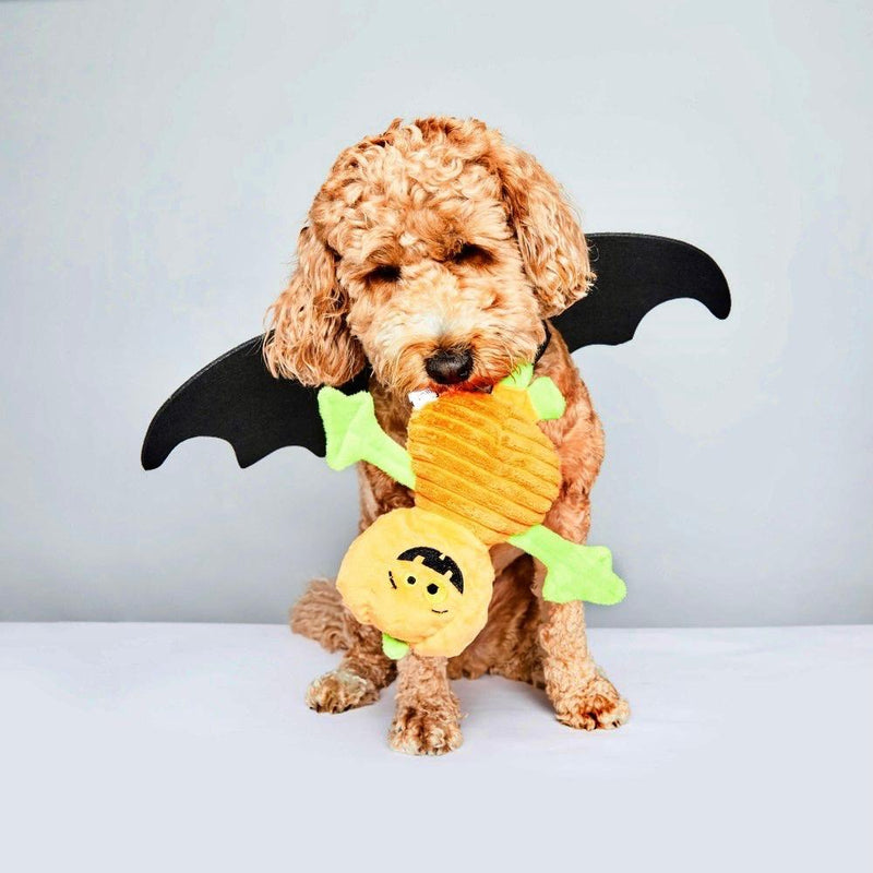 The Halloween Pumpkin