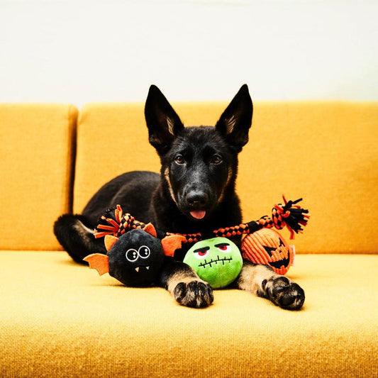 The Halloween Tug-of-War
