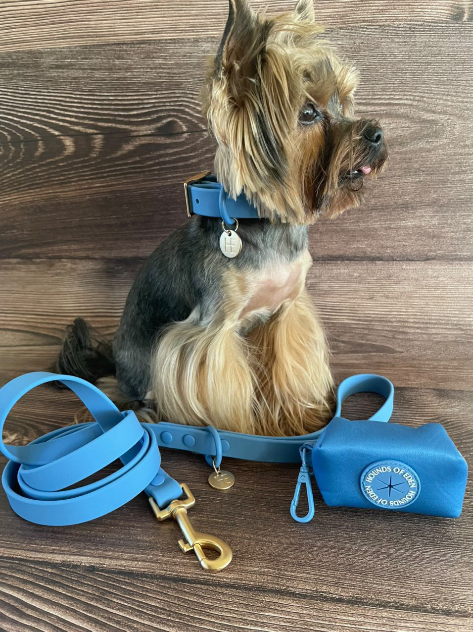 Lichen Blue 'All Weather' Dog Lead
