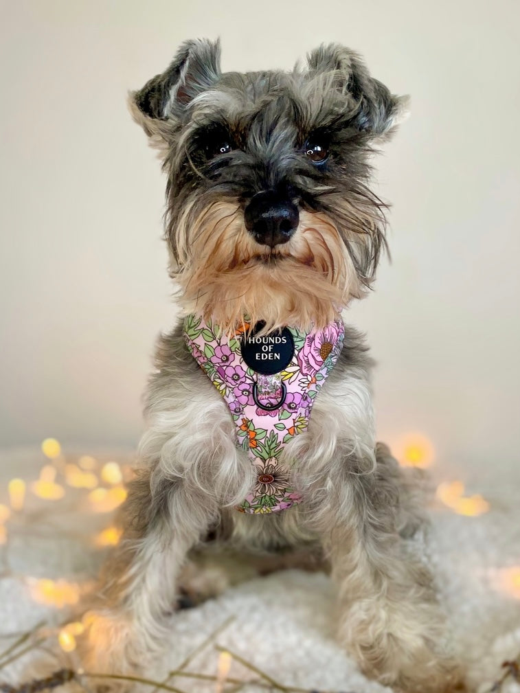 Wild Blossom - Design Dog Lead