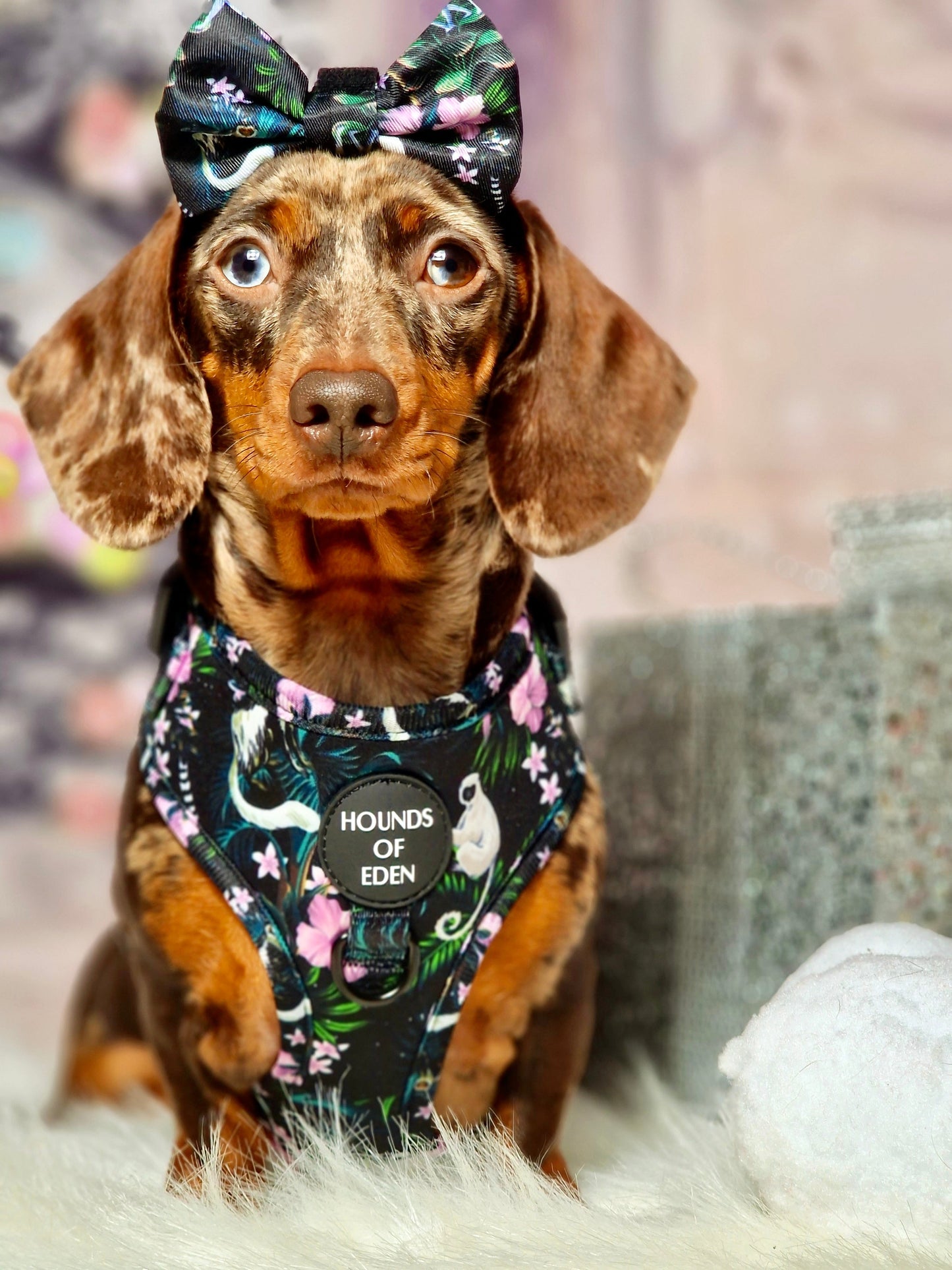 Midnight Madagascar Design Poop Bag Holder