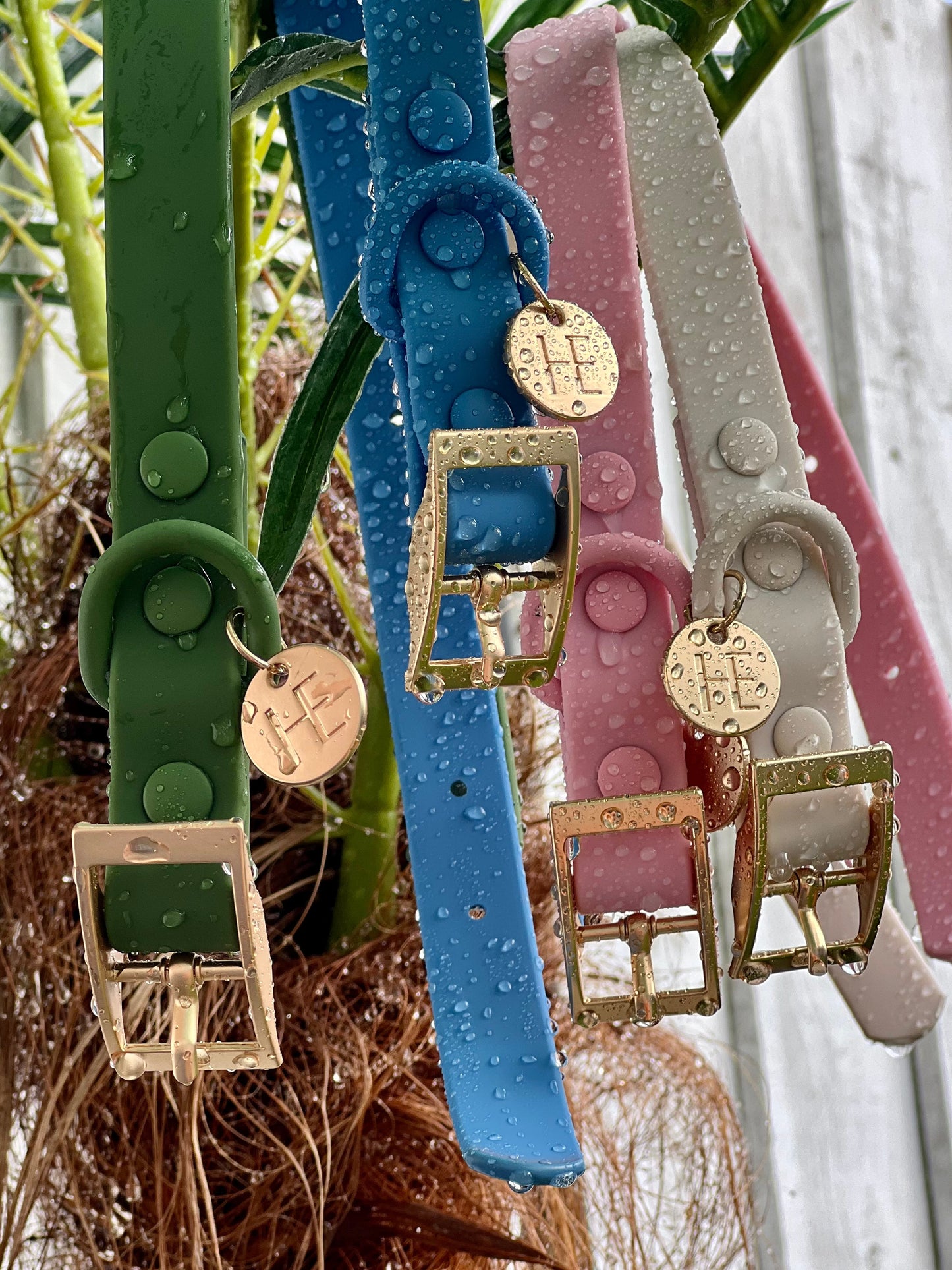 Oatmeal Latte 'All Weather' Dog Collar