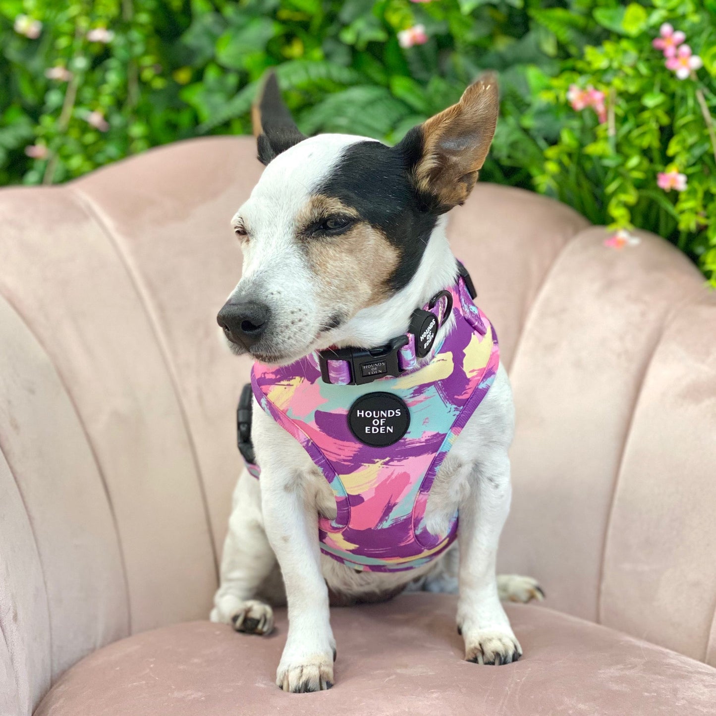 'Blush it Off' - Pink, Purple, Pastel Mint & Lemon Camo Pattern Dog Harness