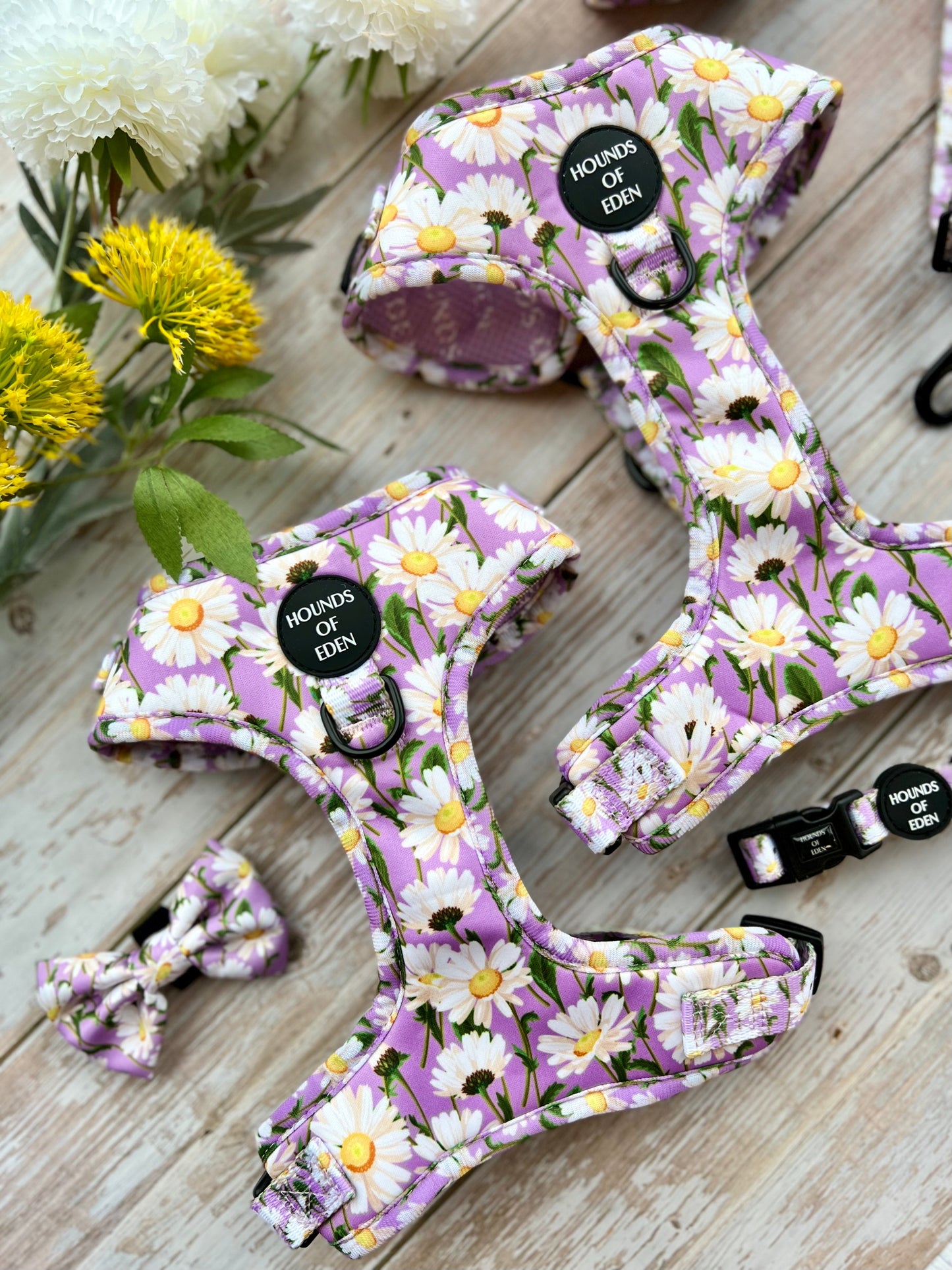 Daisy Dreams Design Dog Collar