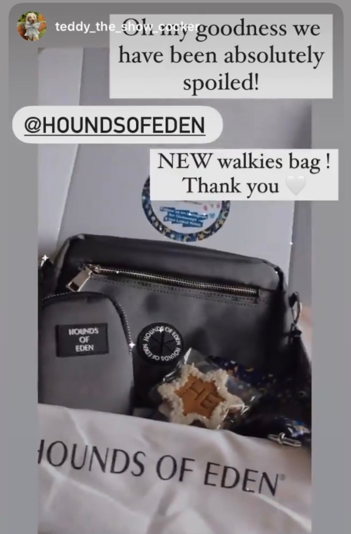 Dog Walking Bag - Grey *BAG ONLY*